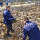 Fotka nr 1 z 16