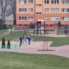 zdjęcie nr 12