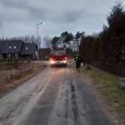 Fotka nr 5 z 6
