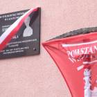 zdjęcie nr 12