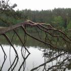 zdjęcie nr 29