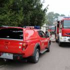 Fotka nr 2 z 42