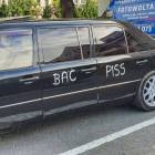 Fotka nr 1 z 4