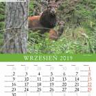 zdjęcie nr 9