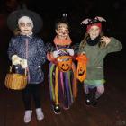 zdjęcie nr 12