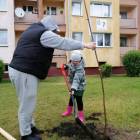 zdjęcie nr 35