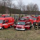 Fotka nr 4 z 91