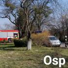 Fotka nr 1 z 7