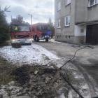 Fotka nr 2 z 3