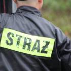 zdjęcie nr 22