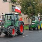 zdjęcie nr 18