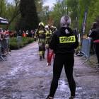 Fotka nr 3 z 12