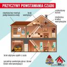 zdjęcie nr 10