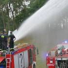 zdjęcie nr 106