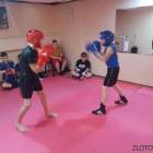Fotka nr 4 z 10