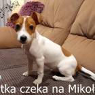 zdjęcie nr 8
