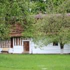zdjęcie nr 79