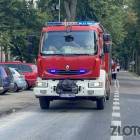 zdjęcie nr 172