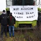 zdjęcie nr 10
