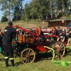 zdjęcie nr 35
