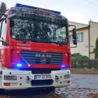 Fotka nr 4 z 13