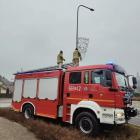 Fotka nr 5 z 8