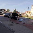Fotka nr 5 z 7