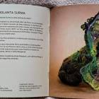 zdjęcie nr 12