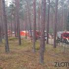 Fotka nr 2 z 21