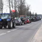 zdjęcie nr 14