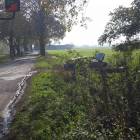 Fotka nr 1 z 3