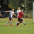 zdjęcie nr 19