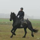 zdjęcie nr 53