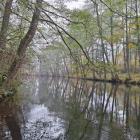 zdjęcie nr 14