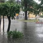zdjęcie nr 14