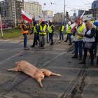 zdjęcie nr 16