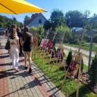 zdjęcie nr 34