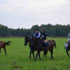 zdjęcie nr 30