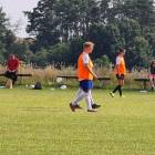 Fotka nr 3 z 19