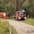 Fotka nr 4 z 6