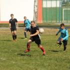 zdjęcie nr 31