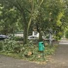 zdjęcie nr 9