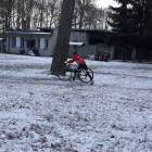 zdjęcie nr 19