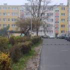 Fotka nr 1 z 7