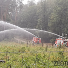 Fotka nr 0 z 18