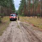 Fotka nr 5 z 22