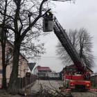 zdjęcie nr 7
