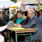 zdjęcie nr 102