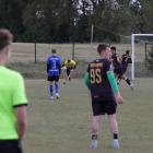 zdjęcie nr 144