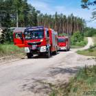 Fotka nr 3 z 4